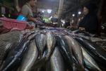 Kebutuhan ikan saat Ramadhan