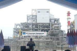 smelter freeport