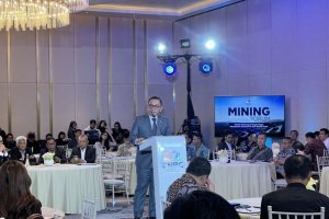 Wakil Menteri Investasi dan Hilirisasi Todotua Pasaribu