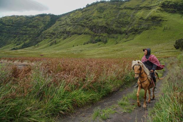Celios: RI Punya 14 Sumber Pendanaan Untuk Program Sosio-Bioekonomi
