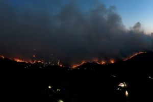 Kebakaran Hutan di Korea Selatan