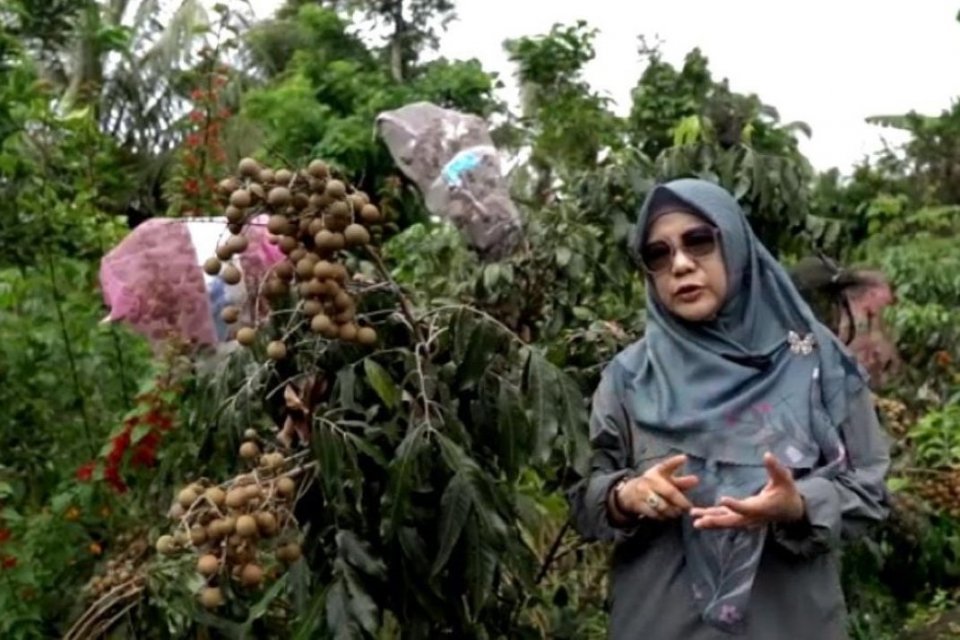 Indo Tambangraya, rehabilitasi DAS Menoreh