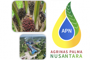 Agrinas Palma Nusantara