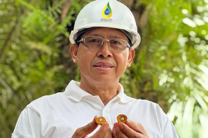 Agus Sutomo sebagai Direktur Utama PT Agrinas Palma Nusantara