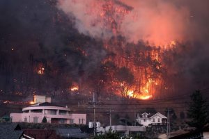 Kebakaran hutan di Korea Selatan
