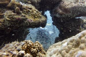 Pemerintah komitmen perluas kawasan lindung laut pada 2030