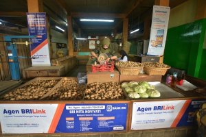 Agen BRILink