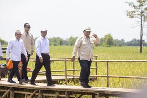 Presiden Prabowo panen raya padi di Majalengka