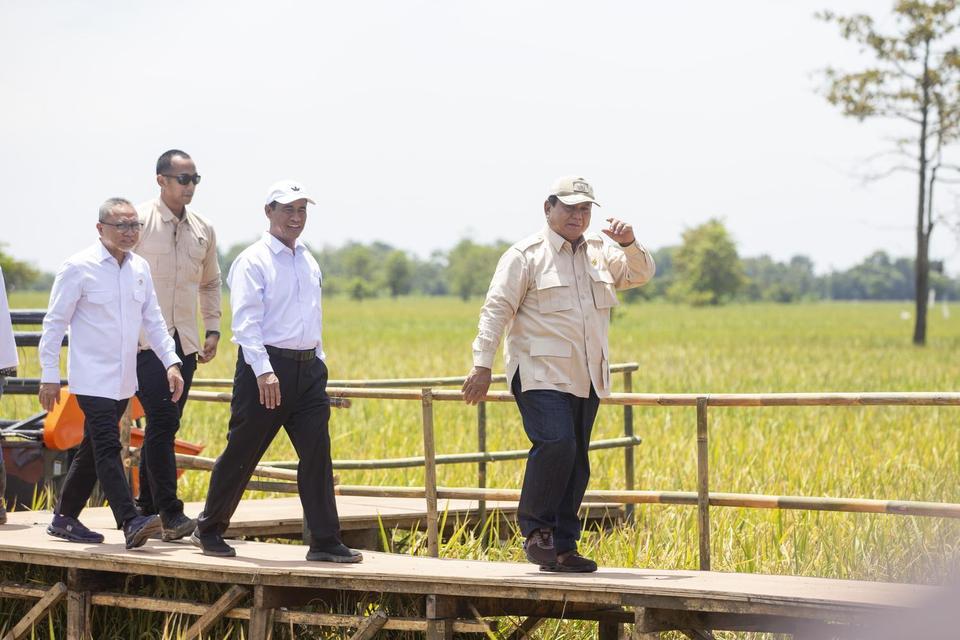 Presiden Prabowo Subianto (kanan) bersama Menteri Pertanian Andi Amran Sulaiman (kedua kanan), dan Menteri Koordinator Bidang Pangan Zulkifli Hasan (kiri) melihat lokasi panen raya padi di Desa Randegan Wetan, Ligung, Majalengka, Jawa Barat, Senin (7/4/20