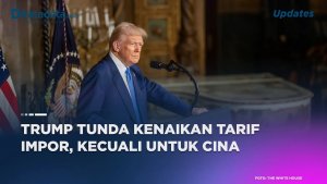 Trump delays import tariff hikes except for China