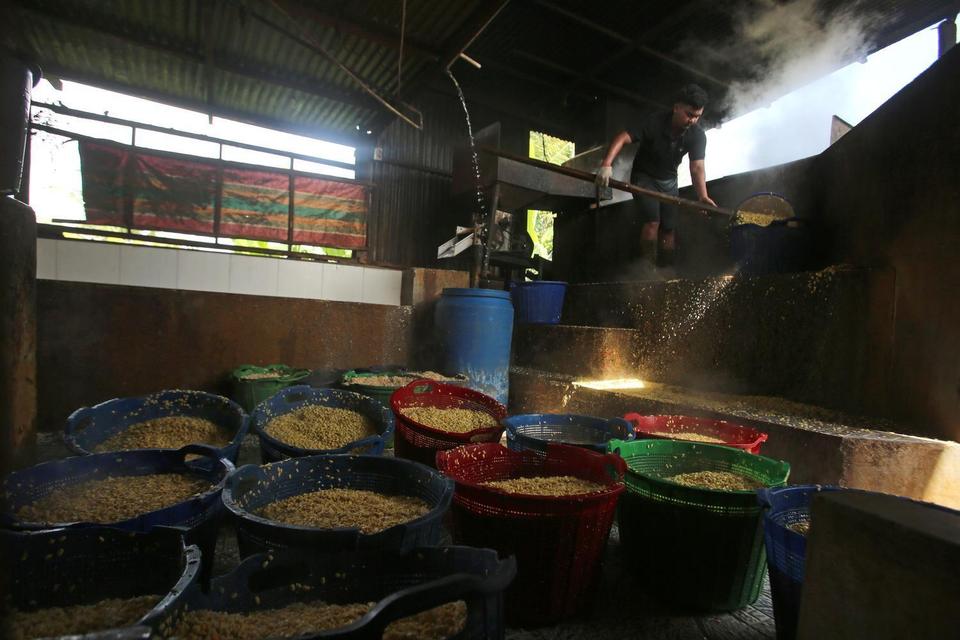 tempe, tahu, produsen