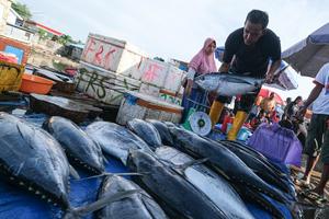 Upaya peningkatan ekspor perikanan nasional