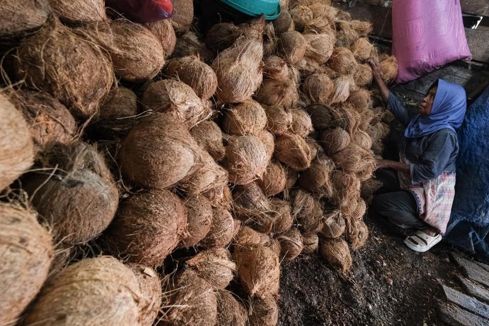 Kelapa