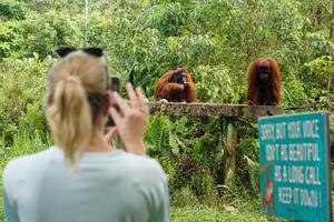 Pusat Rehabilitasi Orang Utan Samboja Lestari