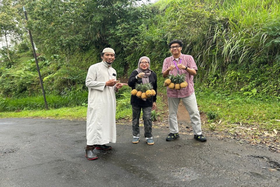 NanasQu
