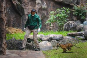 Pengenalan Banun anak Harimau Sumatera di Bukittinggi