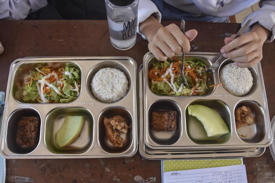 mbg, makan bergizi gratis, apbn