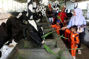 Wisata edukasi Kampung Susu Tulungagung