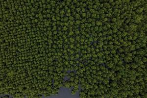 Potensi habitat ekosistem mangrove di Aceh