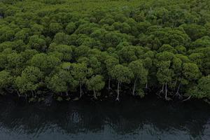 Potensi habitat ekosistem mangrove di Aceh