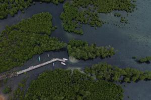 Potensi habitat ekosistem mangrove di Aceh