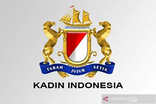 Logo Kadin