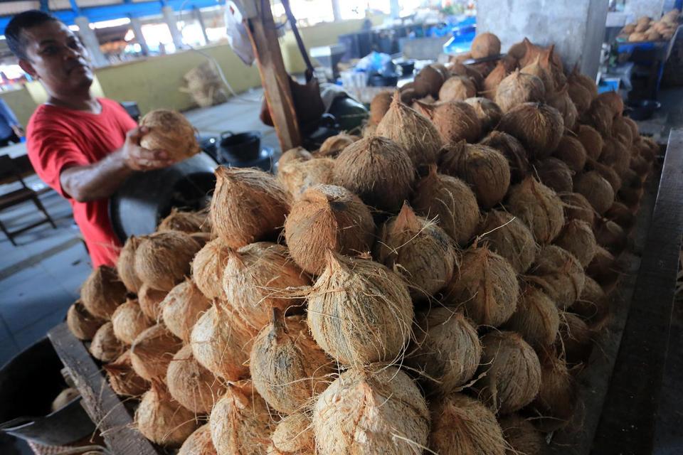 Pedagang menata kelapa bulat dagangannya di Pasar Bina Usaha, Meulaboh, Aceh Barat, Aceh, Kamis (22/5/2025). Pemerintah berencana akan melakukan penetapan pungutan ekspor (PE) dalam bentuk peraturan menteri keuangan (PKM) untuk komoditas kelapa bulat seba