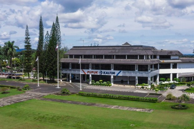 Pupuk Kaltim Rehabilitasi 18 Hektare Terumbu Karang dan Mangrove 