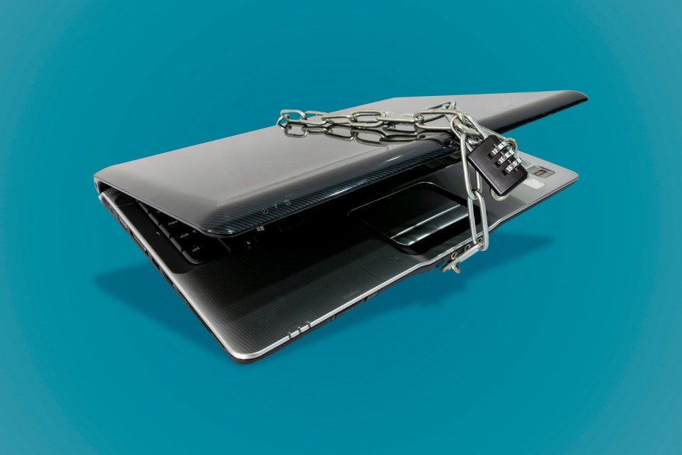 istana, opini, detik