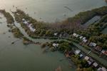 Ancaman hilangnya luasan hutan mangrove
