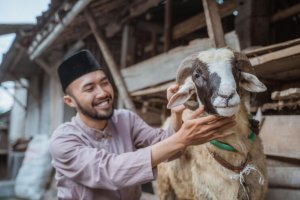 Cara Menyembelih Hewan Kurban 