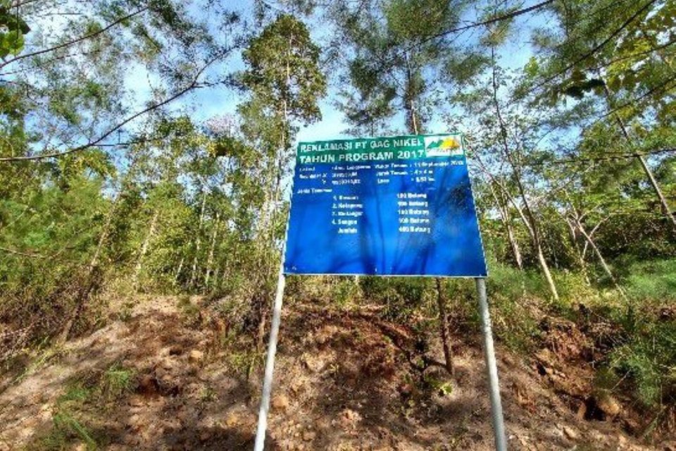 Kawasan reklamasi Gag Nikel