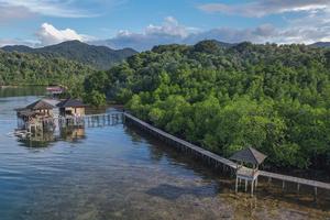 Rencana peraturan perlindungan dan pengelolaan mangrove