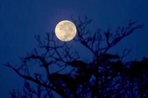 Fenomena Strawberry Moon di Malang