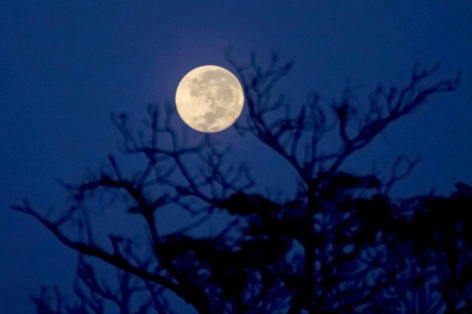 Bulan Purnama Sturgeon Moon Malam Ini, Disebut Bisa Ganggu Tidur Manusia
