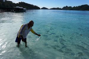 Masyarakat adat tutup tempat wisata Pulau Wayag di Raja Ampat