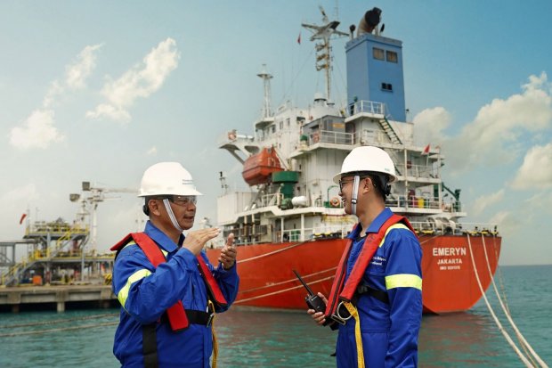 Profil PT Chandra Daya Investasi Tbk (CDIA)