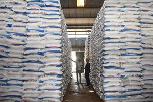 Stok pupuk subsidi di Jawa Barat