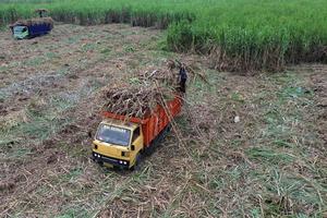 Target produksi gula Jawa Timur