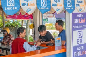 BRILink