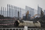 Proyek ekosistem industri baterai Karawang 
