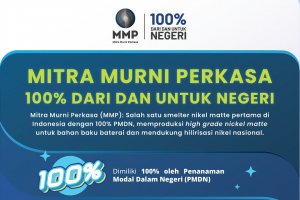 Smelter MMP