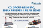 Infografik CDI Group