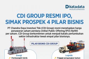 Infografik CDI Group
