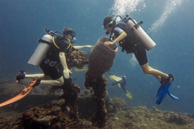 Suguhan spesial bawah air di desa wisata Tulamben
