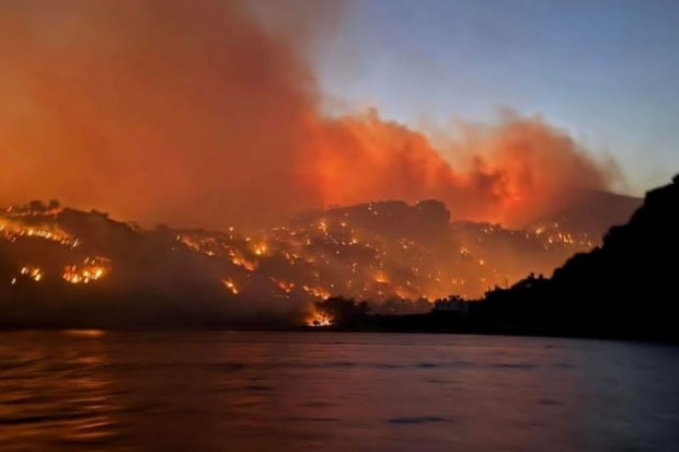 Perubahan Iklim Memicu Kebakaran Hutan di Eropa