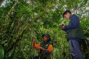 Wisata minat khusus Ranu Darungan di kawasan TNBTS