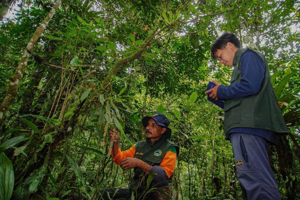 kehutanan, hutan, UU Kehutanan