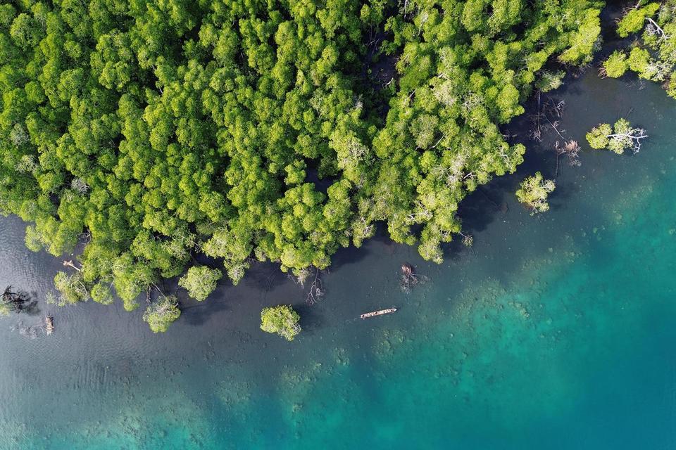 Foto udara nelayan melintas di kawasan mangrove Desa Maileppet, Siberut Selatan, Kepulauan Mentawai, Sumatera Barat, Selasa (8/7/2025). Kawasan hutan mangrove Siberut yang berada di dalam Taman Nasional Siberut itu memiliki sebanyak 23 spesies mangrove ya