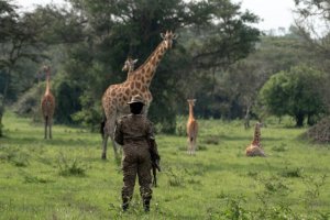 Uganda